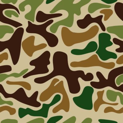 Duck Camo