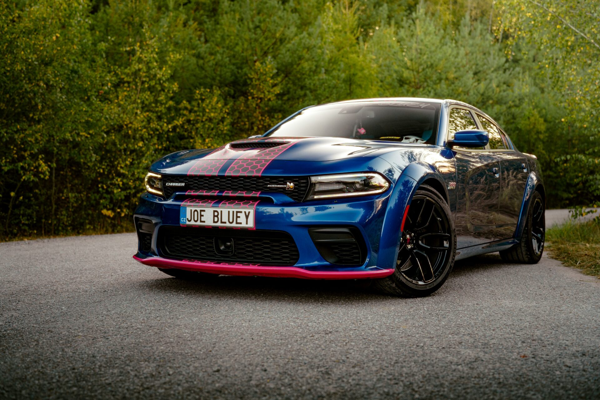 vaclav pechar ocft fpw3wc